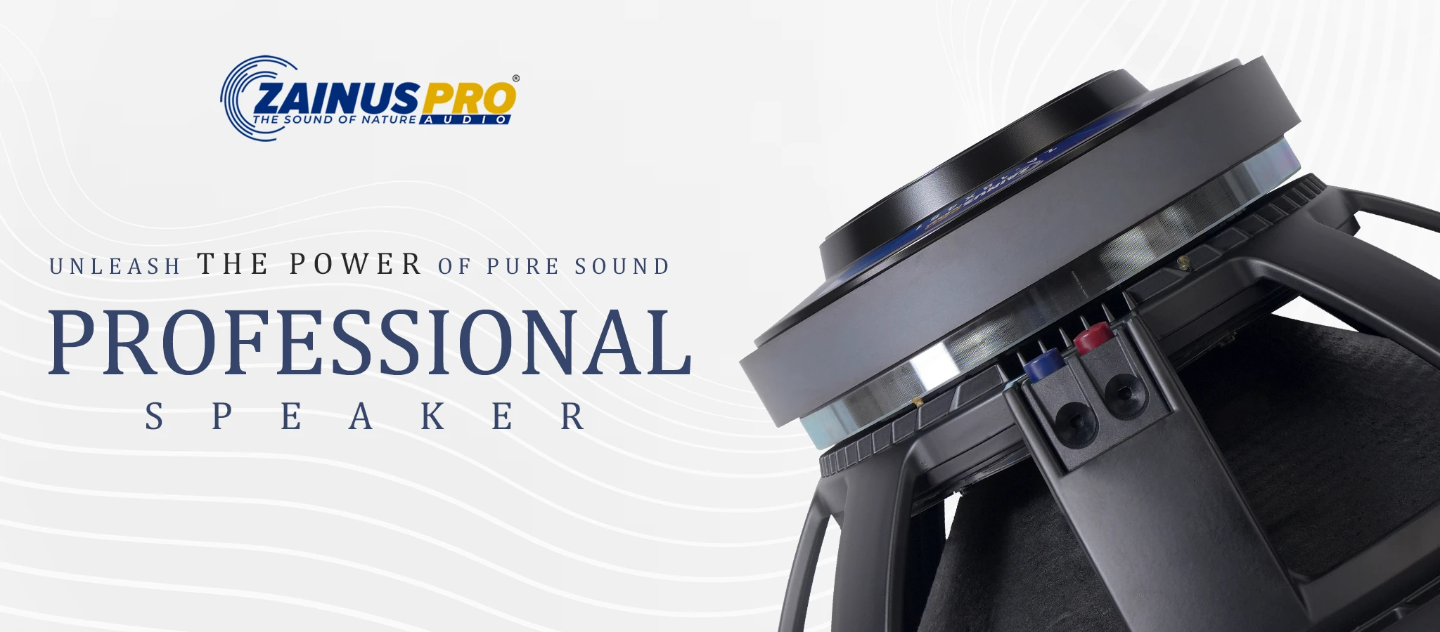 Web_Banner_speaker